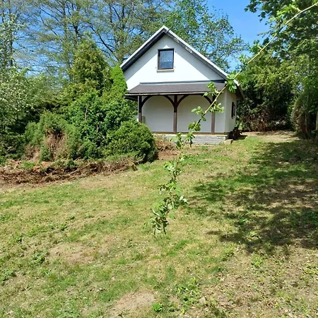 別荘 Schlosswaldblick Im Erzgebirge Beierfeld
