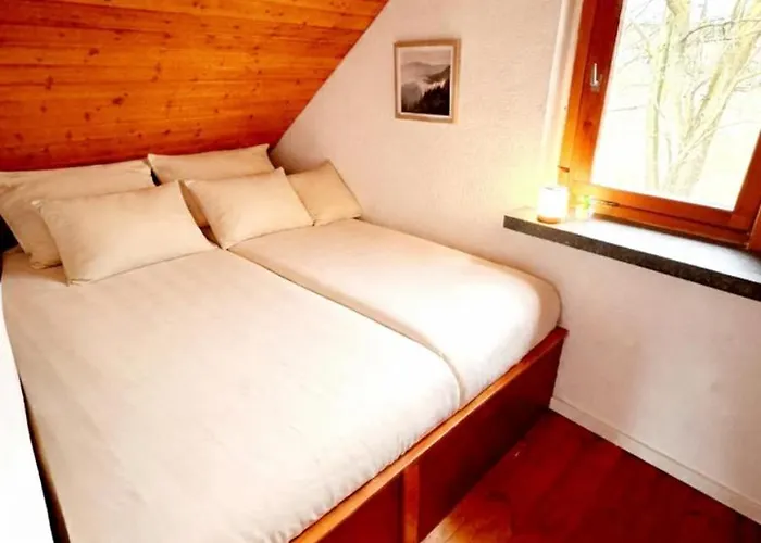 Schlosswaldblick Im Erzgebirge *