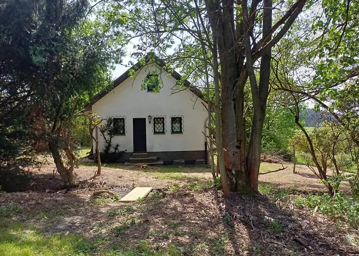 Schlosswaldblick Im Erzgebirge *