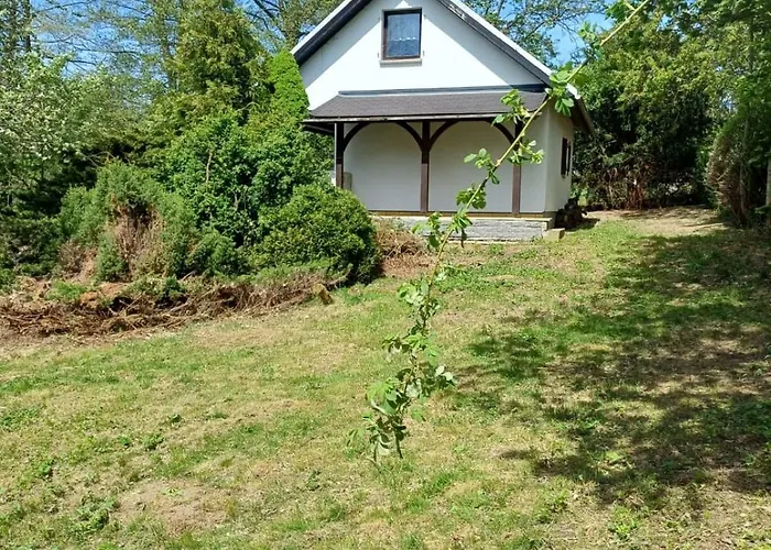 بيت للعطل Schlosswaldblick Im Erzgebirge Beierfeld